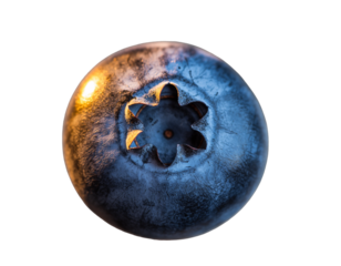 A single ripe blueberry captured in close-up detail, smooth deep blue skin with light powdery bloom texture, calyx star pattern visible on top, cges, isolated on a transparent PNG background.