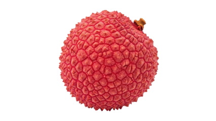 Close-up of a single lychee fruit, showing rough, red textured skin against black