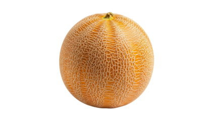 A spherical cantaloupe, isolated against a solid black background