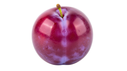 A perfectly ripe, round, dark purple fruit with a stem against a black backdrop