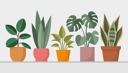 A beautiful arrangement of various indoor plants displayed on a shelf, showcasing diverse textures and shapes that enhance a natural aesthetic and bring life indoors.