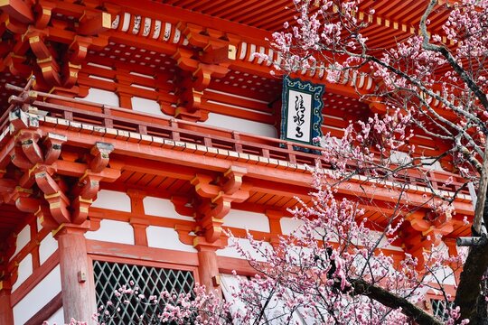 Templo de Kiyomizu-dera en primavera (sakura)