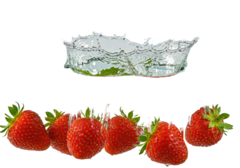 Seven ripe scarlet strawberries and mint violently splashing into crystal water, creating a multi-tiered coronet splash and flying droplets, ultra detailed macro shot on white. Concept for beverage