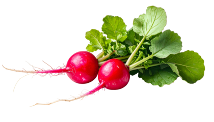 Close-up of two vibrant red root vegetables with their green leafy tops on black