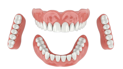 Dentures Isolated on White Background