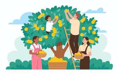 A group of individuals gathers lemons from a tree, promoting teamwork and the fruitful joy of harvesting, highlighting community engagement and the rewarding connections with nature.
