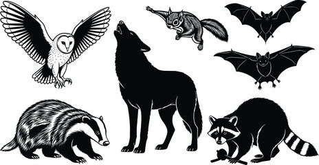 Nocturnal forest animal illustration set featuring barn owl, howling wolf, flying bats, badger, squirrel, and raccoon with stick, isolated vector graphic.