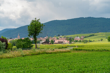 Idyllic Alsace scenery
