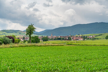 Idyllic Alsace scenery
