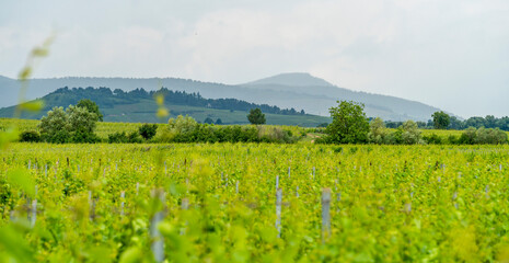 Idyllic Alsace scenery