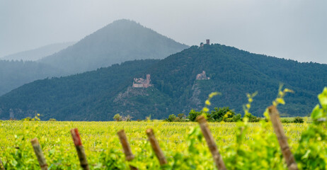 Idyllic Alsace scenery