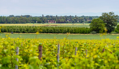 Idyllic Alsace scenery