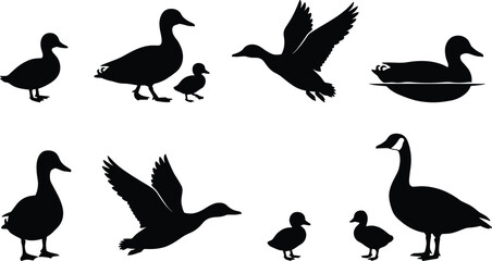 Horse Silhouettes Set, Trotting, Running, and Grazing Equine Animals Vector Collection