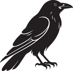 Black silhouette of a raven bird with white eye detail crow black bird
