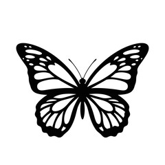Elegant Butterfly Silhouette – Detailed Monarch Wing Vector Design
