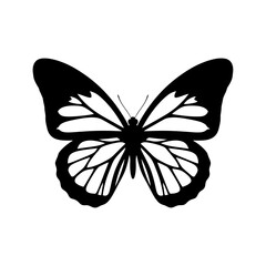 Elegant Butterfly Silhouette – Detailed Monarch Wing Vector Design