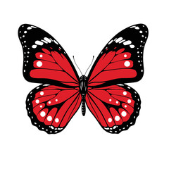 Elegant Butterfly Silhouette – Detailed Monarch Wing Vector Design