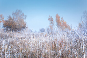 November frosty morning. Beautiful autumn misty sunrise landscape. Foggy morning and rime at scenic high grass meadow.