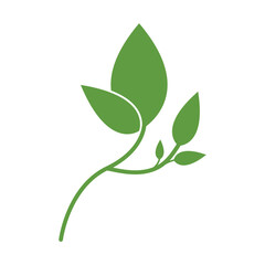 Fototapeta premium Green leaf logo design