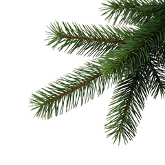 Obraz premium Green fir branches with needles against transparent background in realistic style