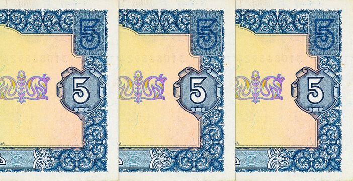Fragment of a 5 hryvnia banknote with a portrait of Hetman Bohdan Khmelnytsky. Paper money of Ukraine.