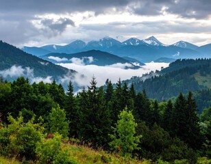 Scenic mountainous landscape features lush green trees, rolling hills, and distant snow-capped peaks