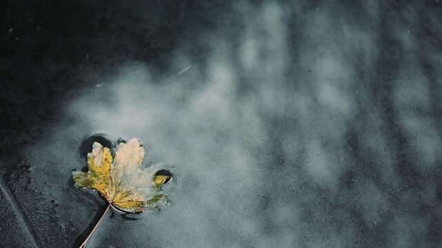 Uno sfondo con superficie ricoperta da un velo d'acqua, una foglia ingiallita e riflessi nell'acqua