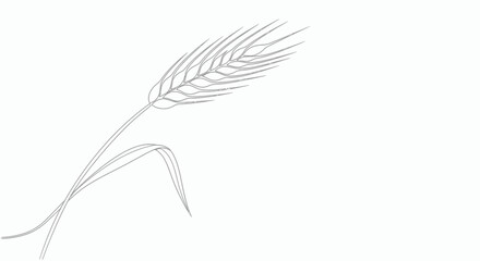 Minimalist line drawing of a single wheat stalk with leaves on a clean white background