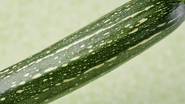 Close-up macro shot of the textured skin of a fresh green zucchini showing white mottled stripes and specks diagonally