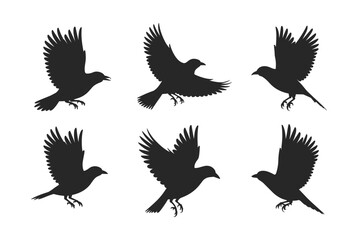Obraz premium A collection of black bird silhouettes showcasing various flight and landing poses