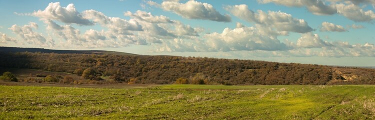 A forest in the foothills of the Western Caucasus, covered with fallen autumn leaves, near a green field on a sunny day in late October