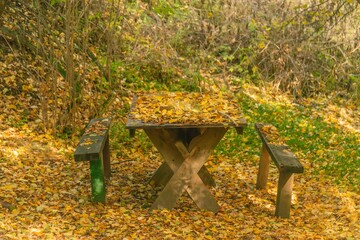 A garden table and a pair of benches made of planks, covered in fallen autumn leaves on a sunny day in late October