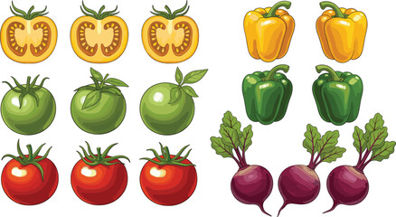 Colorful fresh vegetable illustration set with tomatoes, bell peppers, green tomatoes, and beets on white background