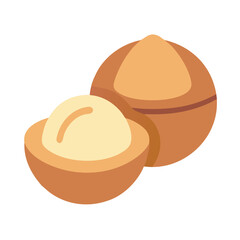 Delicious macadamia nuts on white background, studio shot style