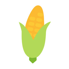 Simple flat vector illustration of corn on the cob