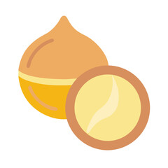 Stylized macadamia nuts with cross section view flat design