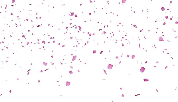 Falling pink rose petals png Isolated on Transparent Background. Pink rose petals falling, Scattered pink rose petals, ideal for wedding, valentine's day or beauty projects