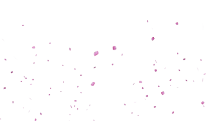 Falling pink rose petals png Isolated on Transparent Background. Pink rose petals falling, Scattered pink rose petals, ideal for wedding, valentine's day or beauty projects