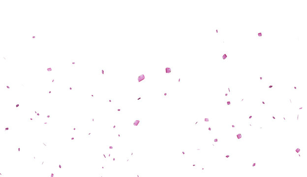 Falling pink rose petals png Isolated on Transparent Background. Pink rose petals falling, Scattered pink rose petals, ideal for wedding, valentine's day or beauty projects