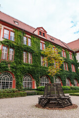 Historical building with ivy facade and unique wooden sculpture in tranquil courtyard. Ossoliński National Institute