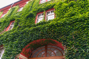 Red brick building with ivy-covered facade and arched windows. Ossoliński National Institute