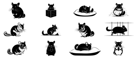 hearth whiskers a graphic study of domesticated chinchilla comforts set, isolated on transparent background