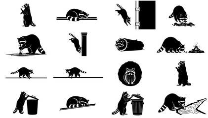 nocturnal subterfuge a graphic compendium of clever raccoon antics and exploits set, isolated on transparent background
