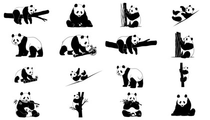 the tao of bamboo a graphic vocabulary of panda serenity and play set, isolated on transparent background