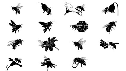 the pollinators blueprint a collection of the honeybees essential work, isolated on transparent background