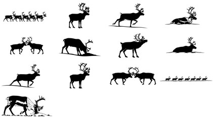 the tundras pulse a graphic cycle of reindeer migration, rivalry, and rest set, isolated on transparent background