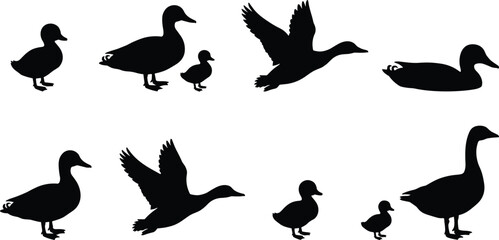 Duck and Goose Silhouettes Set, Flying Waterfowl Bird Vector Wildlife Collection © It's Sahed