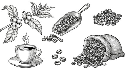 Minimal Coffee Icon Set &ndash; Line Art Coffee Tools, Cups, Beans, Barista Equipment Vector Collection