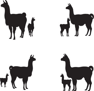 Silhouette collection of llamas and their young in various poses
