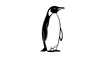 Black and white penguin illustration on white background isolated design